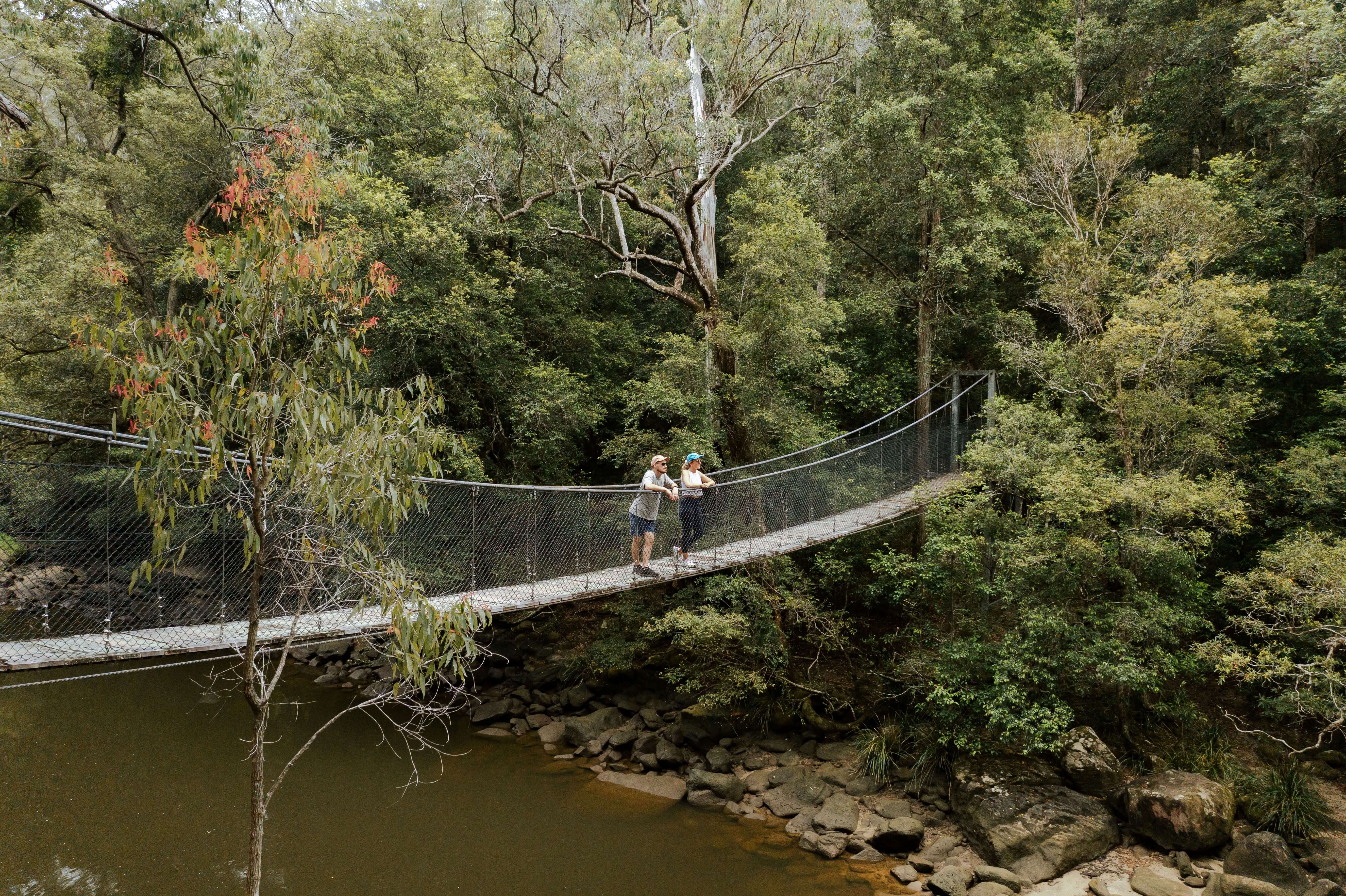 piles creek suspension bridge with people passing