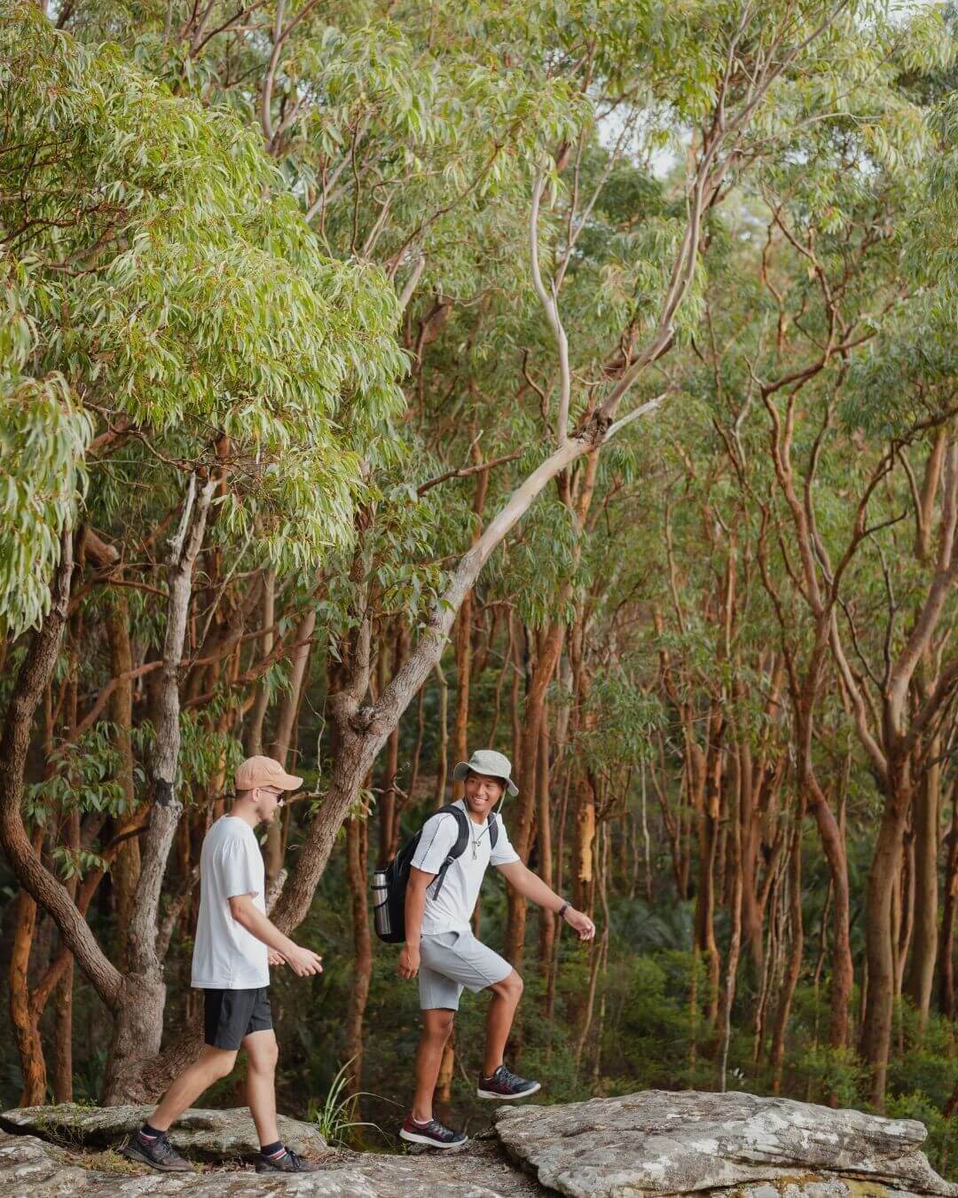 two guys hiking amoung red gum trees