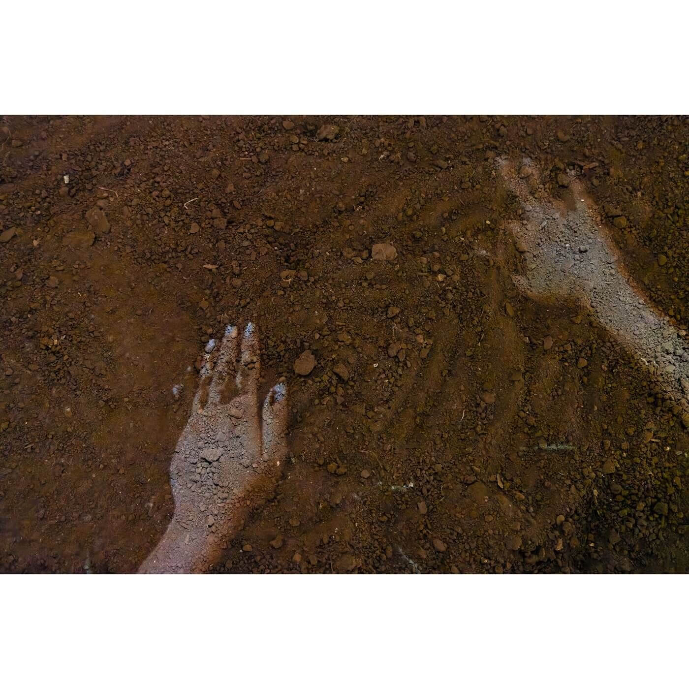 Monica Rani Rudhar EMERGING art prize installation hands in the dirt