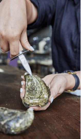 Person shucking an Oyster at Broken Bay Pearl Farm