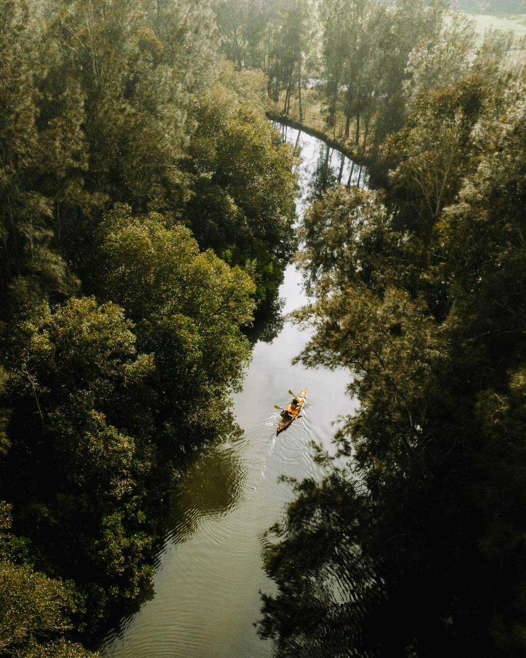 aerial view of kayak travelling down river with misty forest around it