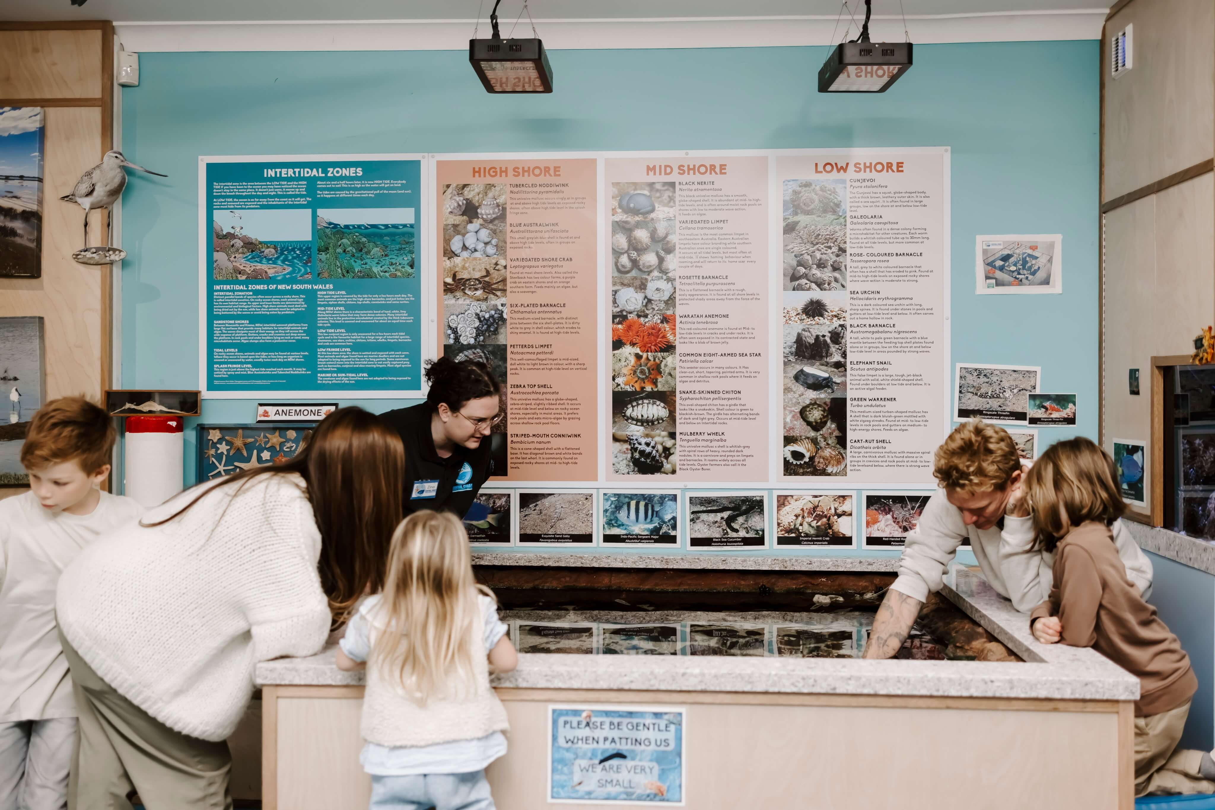 Bianchi Photography marine discovery centre Terrigal