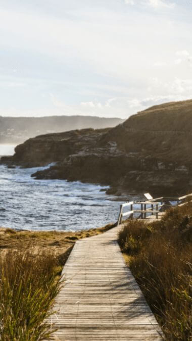 https://media.destinationnsw.com.au/follow-flower-trail-nsw