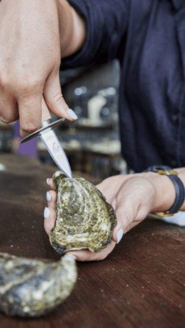 Person shucking an Oyster at Broken Bay Pearl Farm