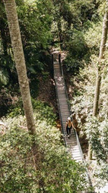 woman walks across bridge in forest