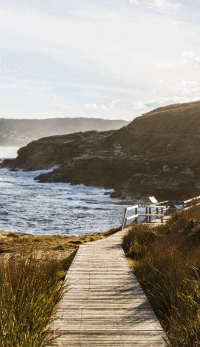 https://media.destinationnsw.com.au/follow-flower-trail-nsw