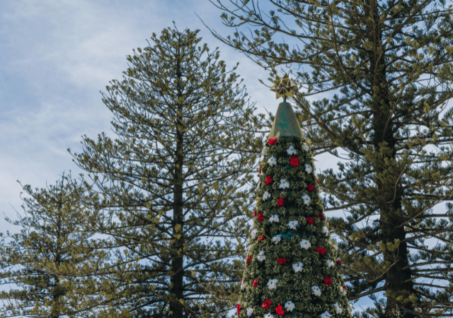 Christmas Tree