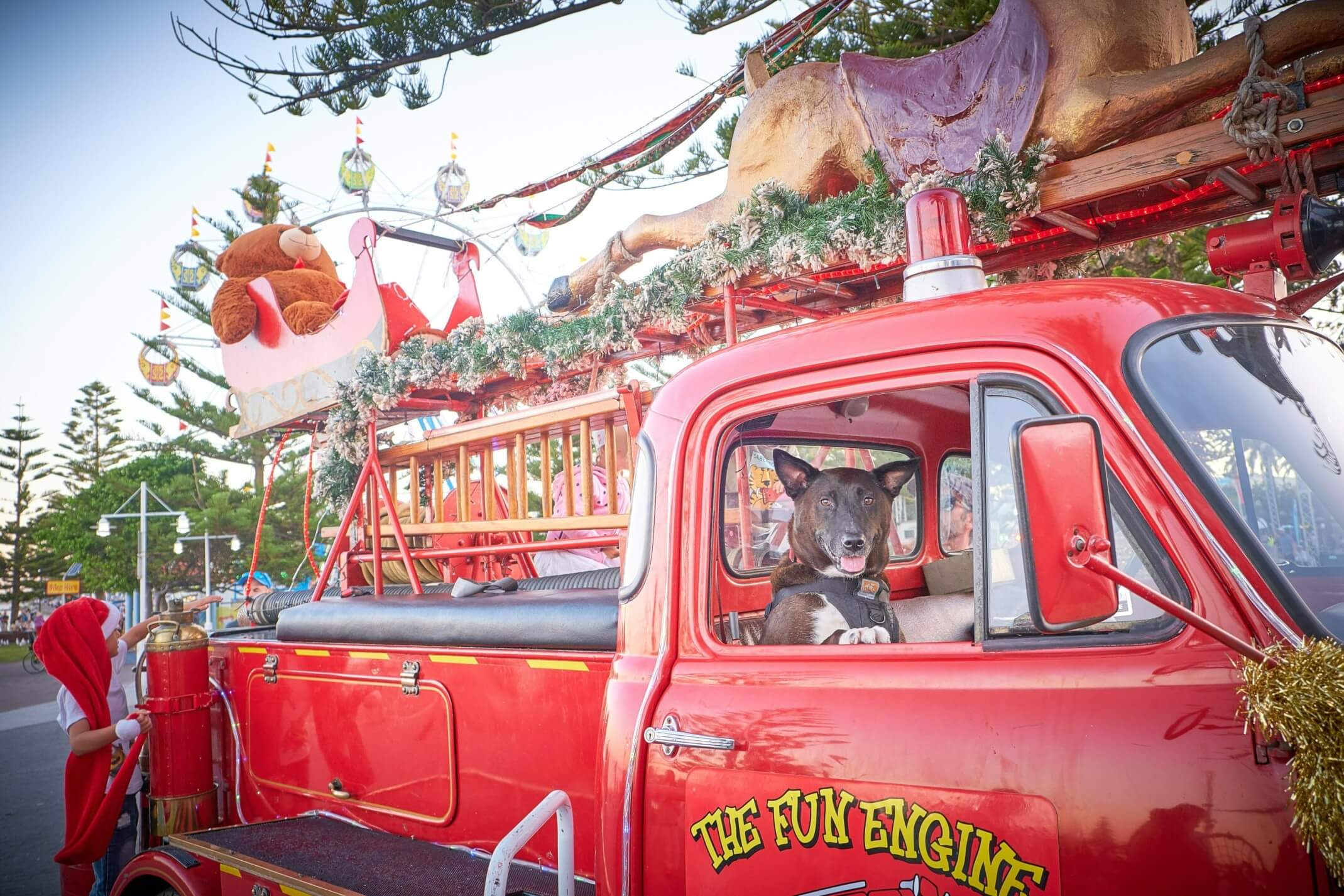 dog in a red engine