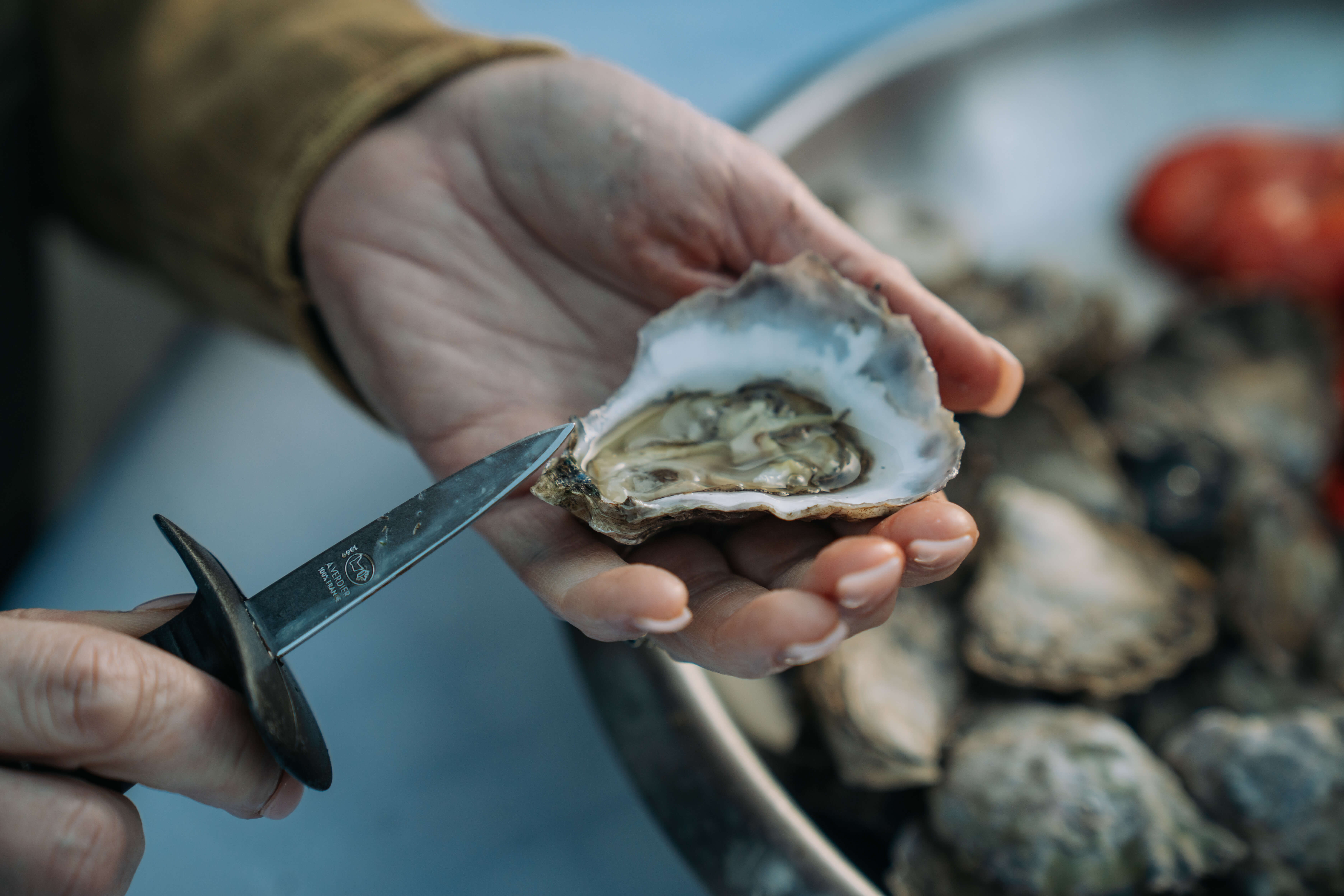 A hand chucking an oyster