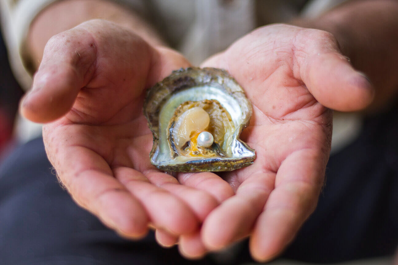 Two hands holding an oyster with a pearl