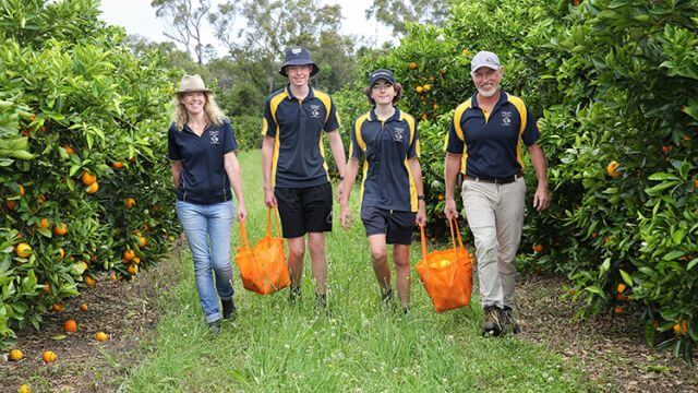 Family of 4, mum, dad and 2 teenage boys walking through orange orchard in Meliora Farm uniform