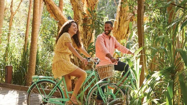 couple cycling in lush rainforest path