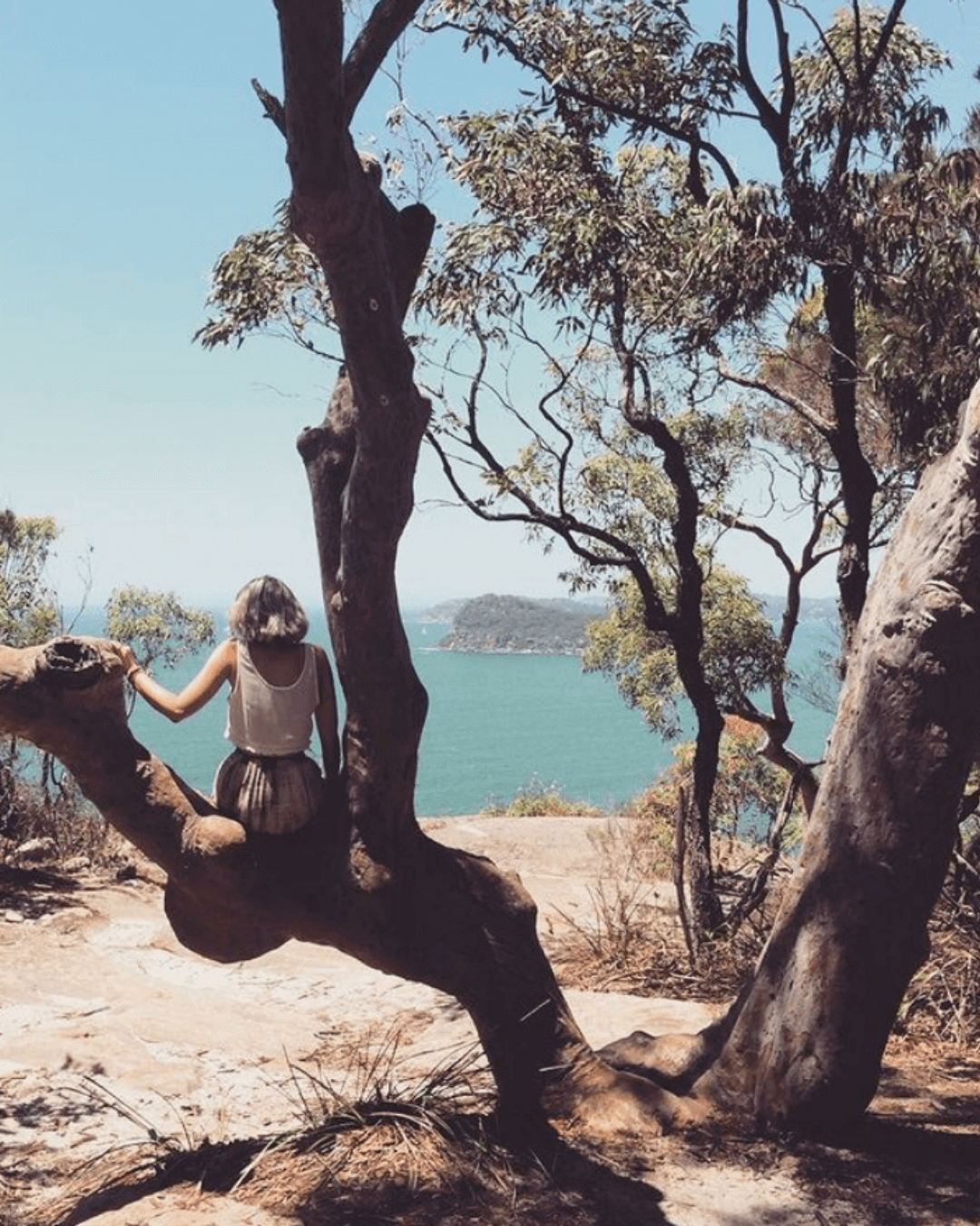 Mt Ettalong Lookout