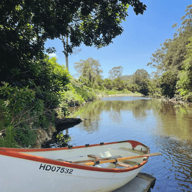 Hire and row boat and serach for platypus on Wyong River Central Coast NSW