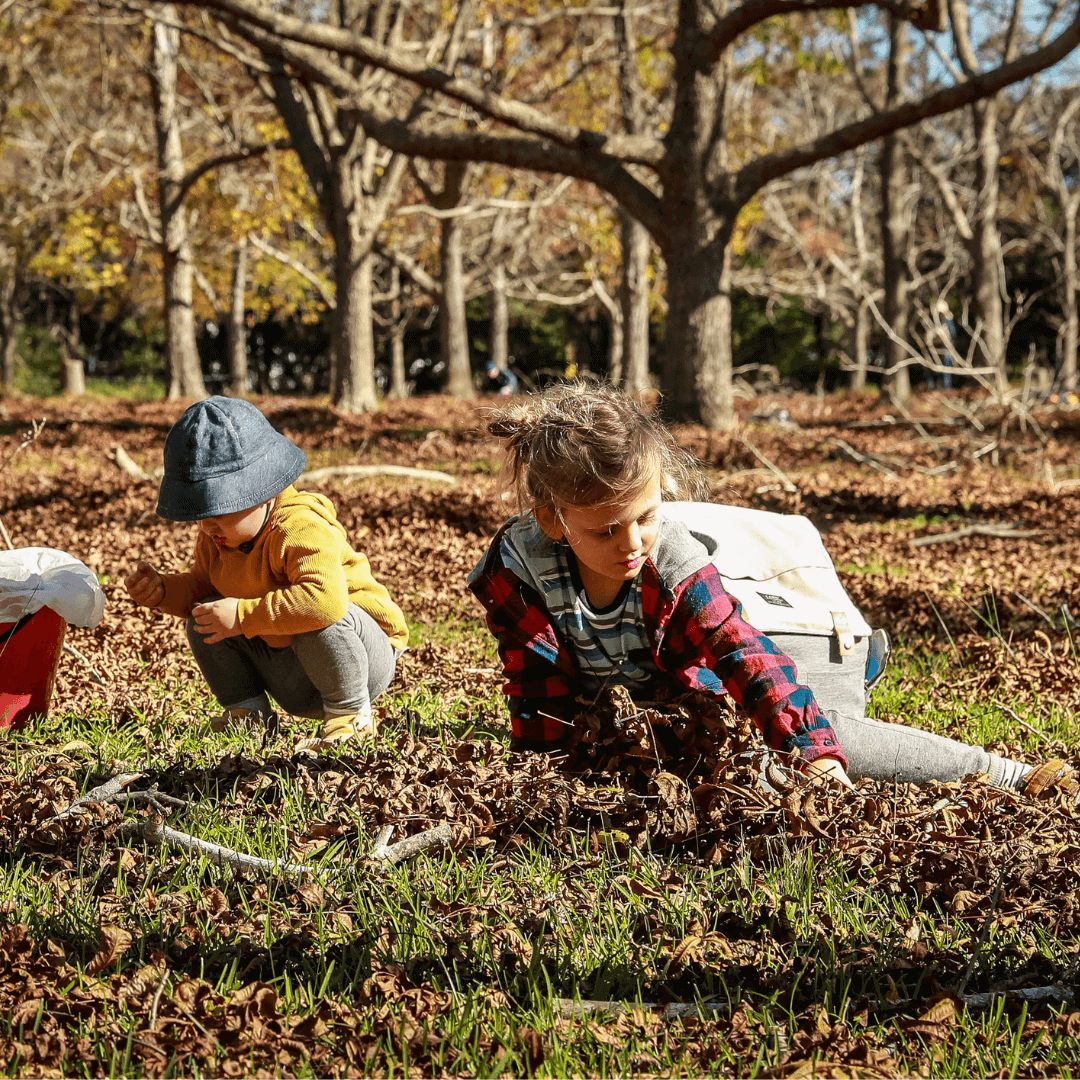 Children Picking pecans