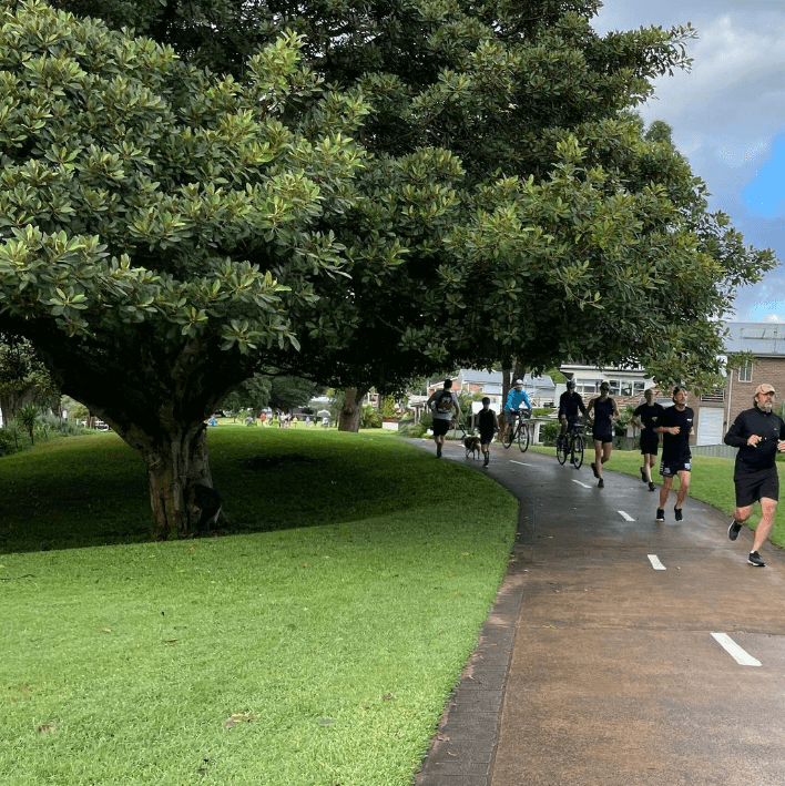 Runners run on a path past a big tree
