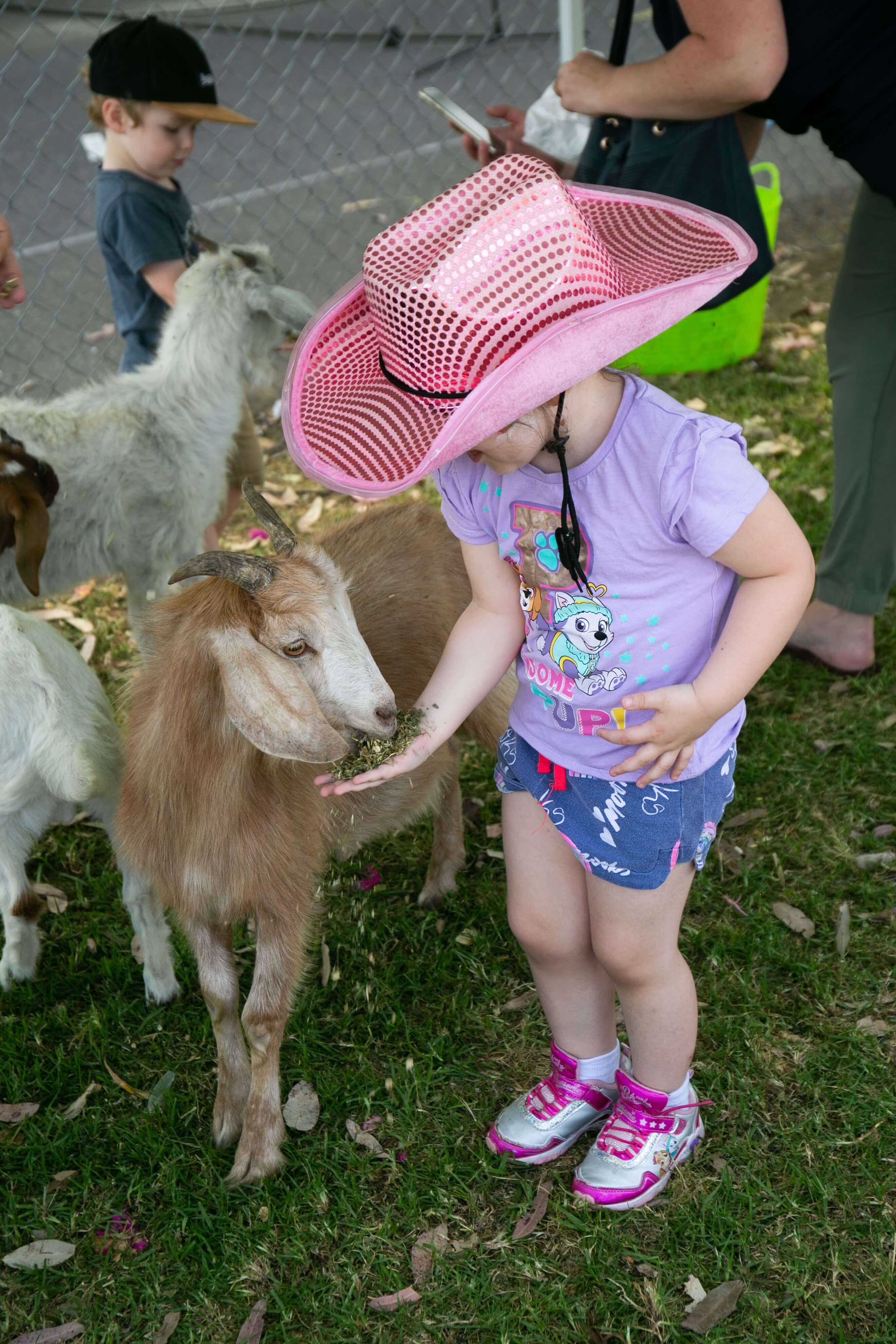 girl in pink cowgirl hat feeding a baby lamb