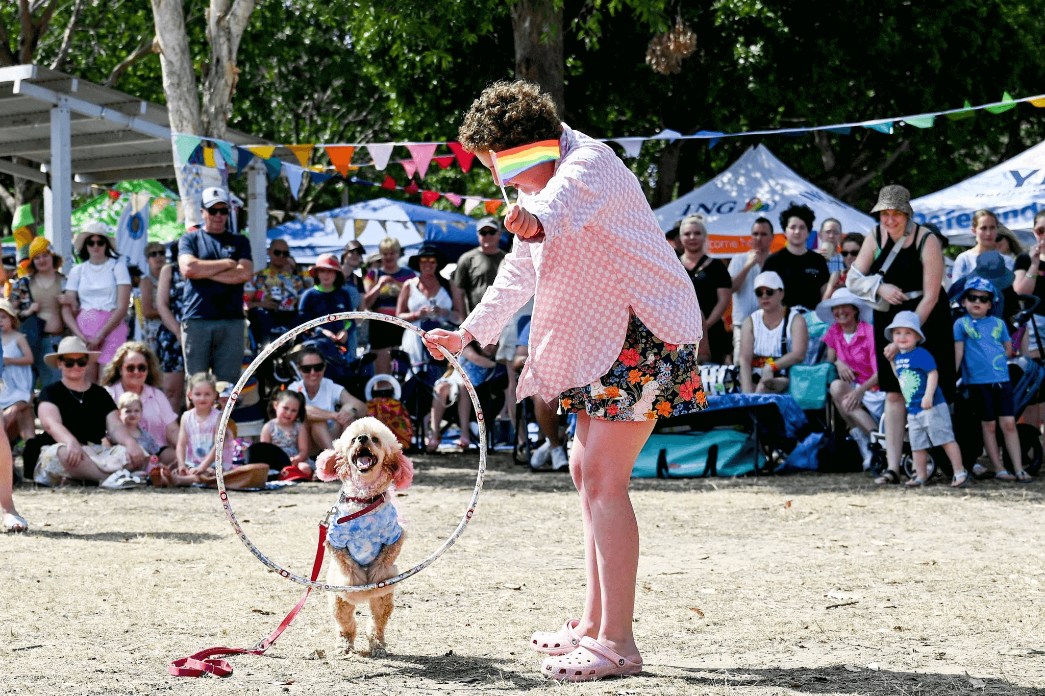 Dog jumping through hoop in front of a crowd