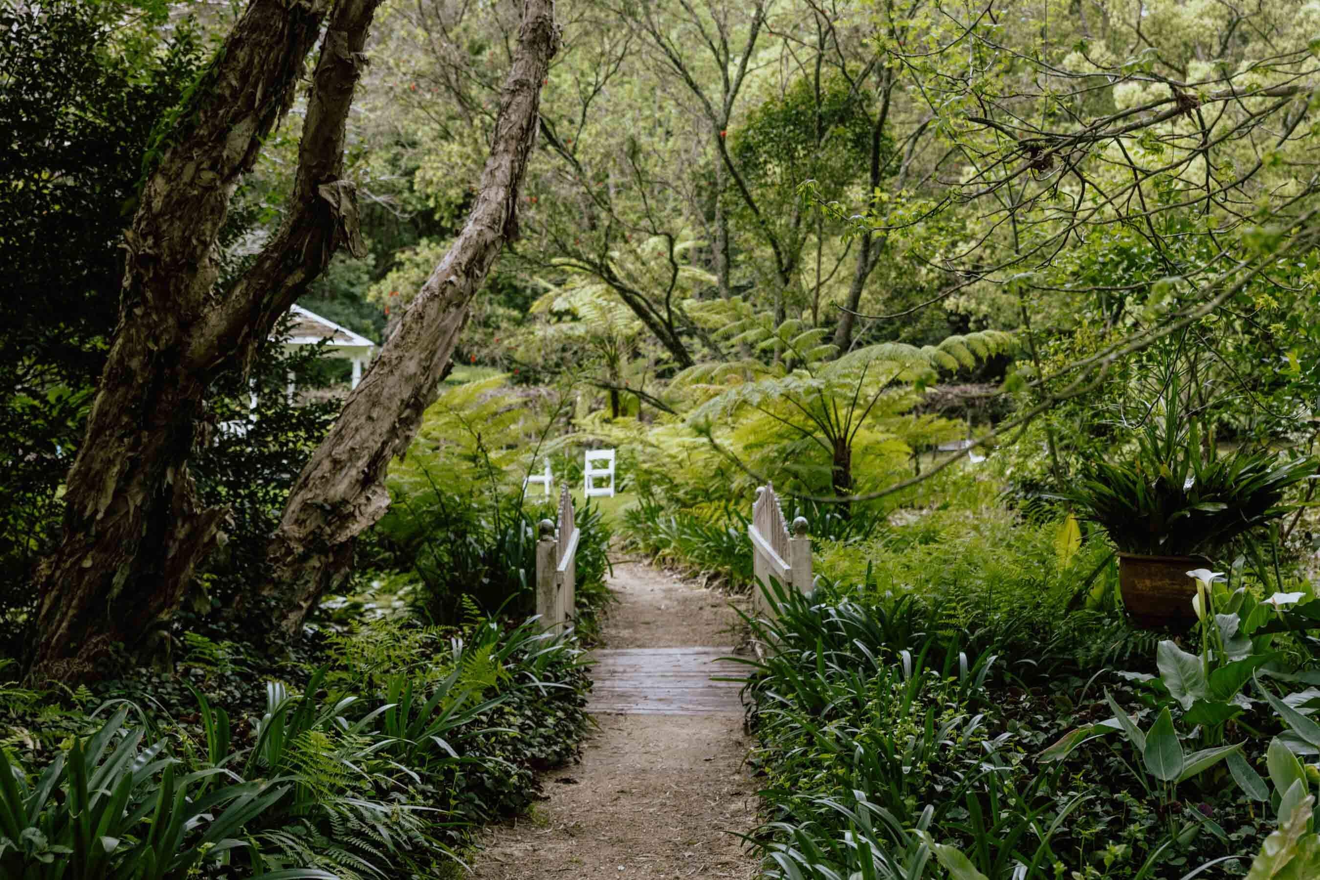 path leading into  a leafy garden courtyard