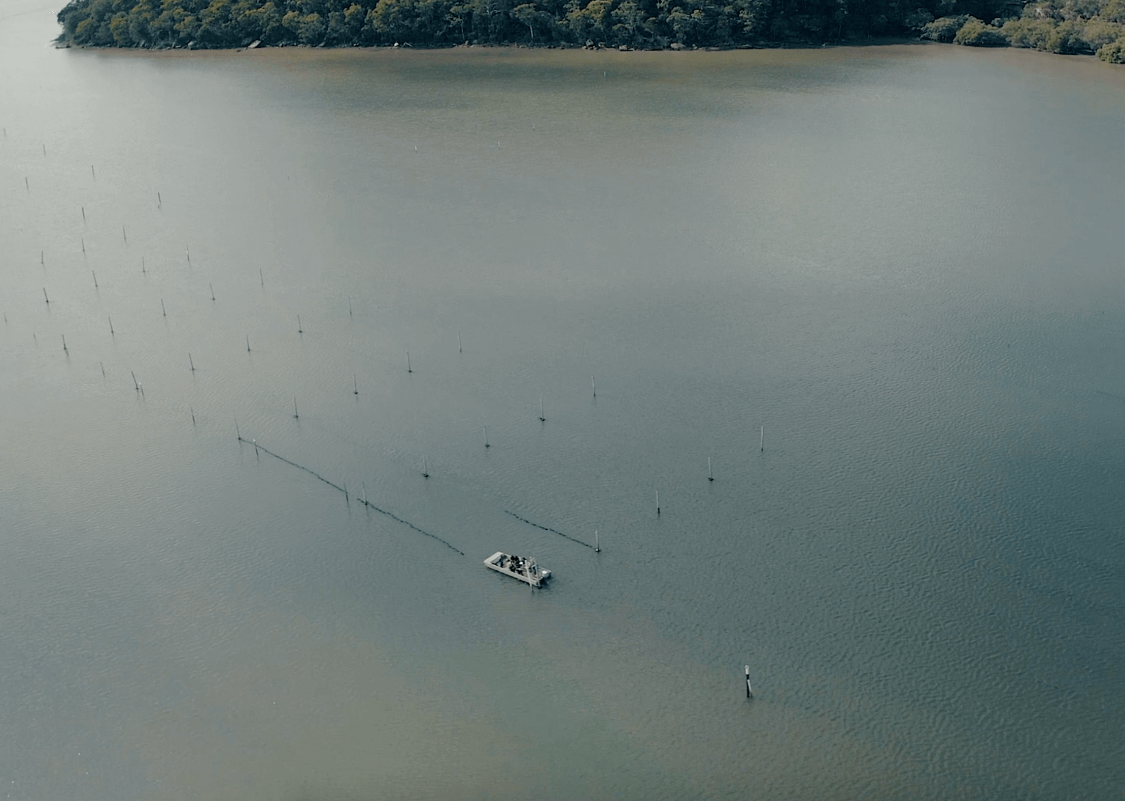 An aerial view of a boat in the water