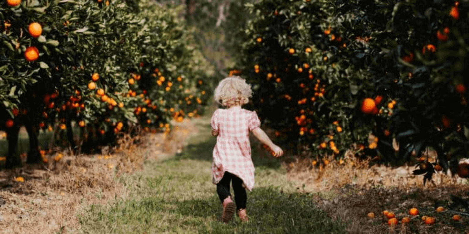 Photo Credit: Meliora Farm, Peats Ridge