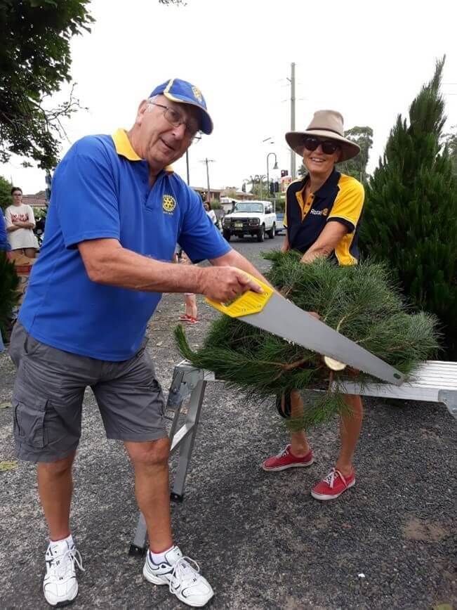 A man cutting a real Christmas tree with a saw