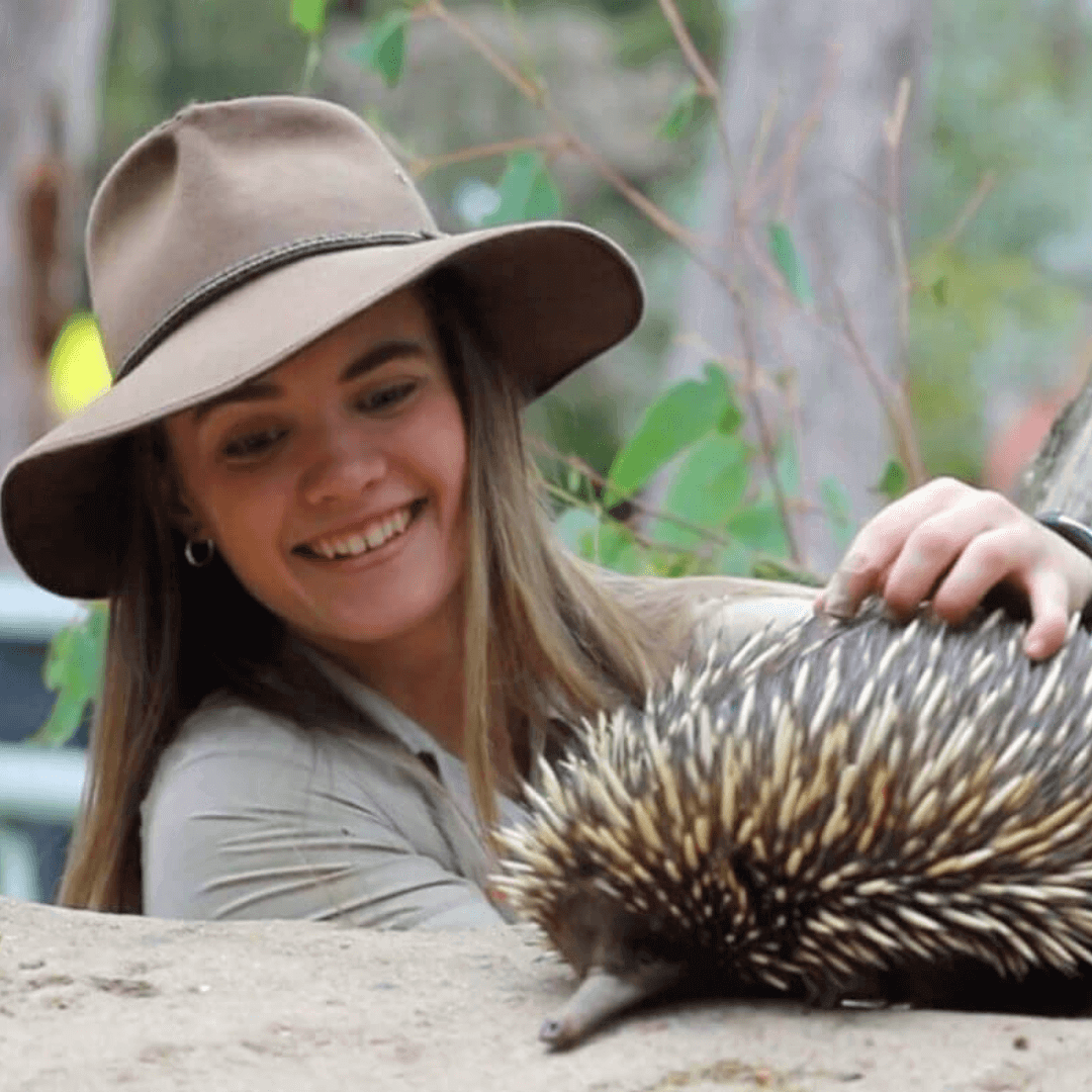 Australian Reptile Park ranger with echidna