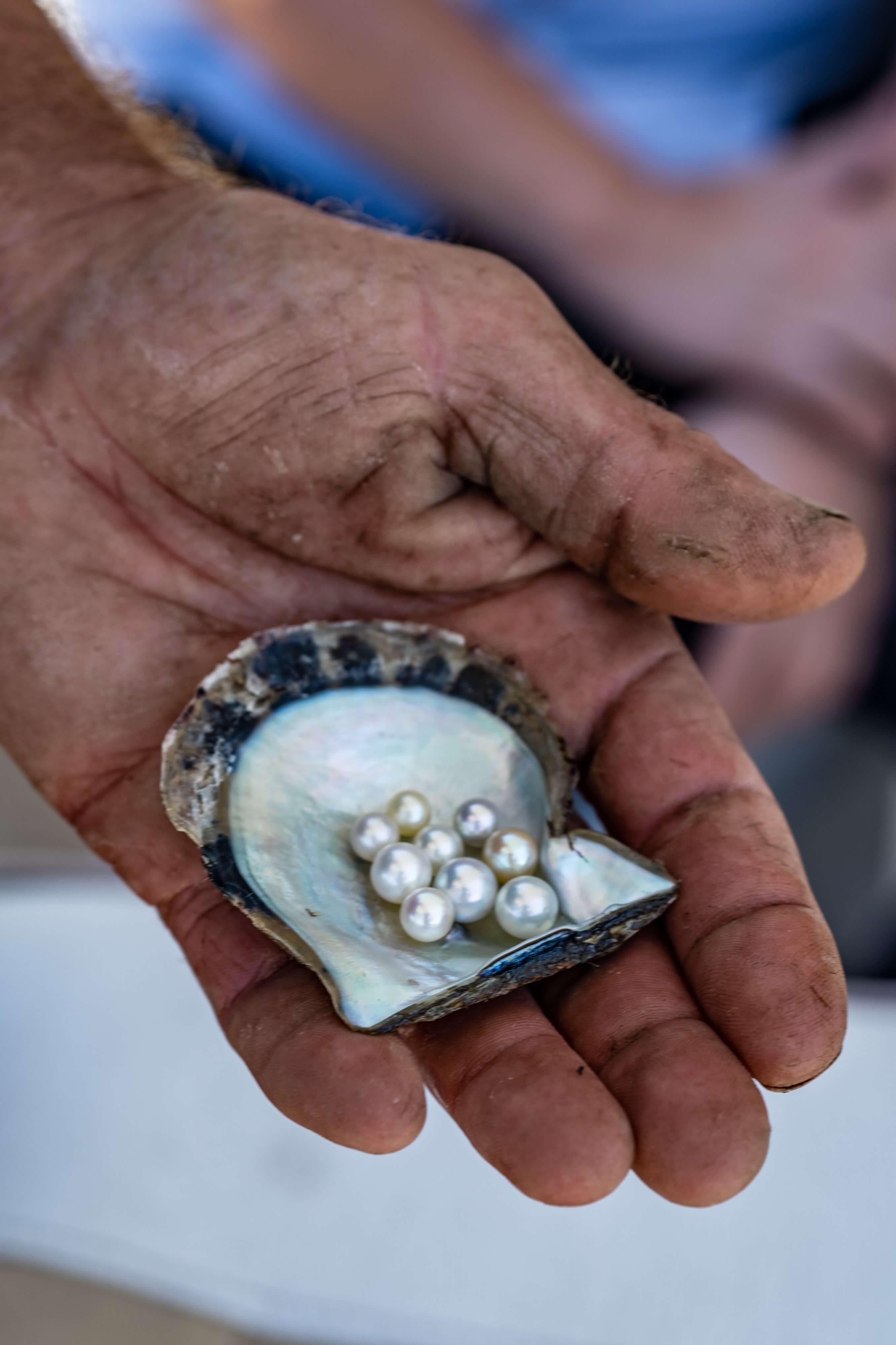 buy broken bay pearls