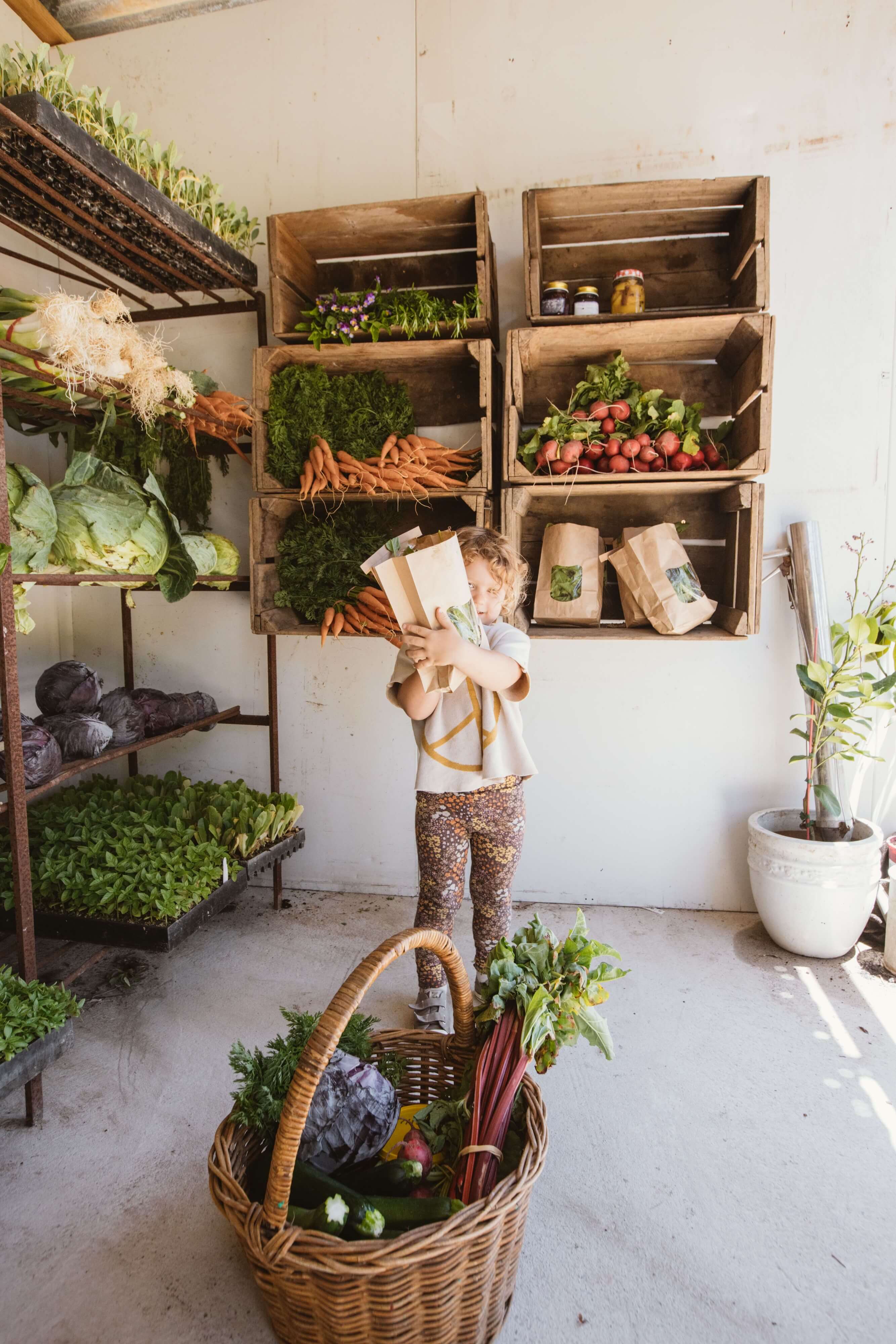 kid grabs fresh produce at farmgate shop