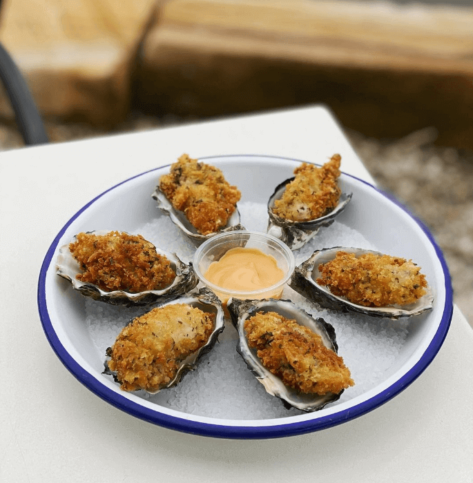 Oysters on plate at Hawkesbury River Oyster Shed