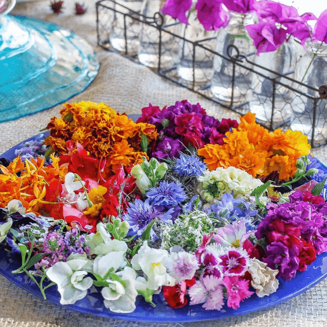 Hidden Valley Harvest edible flowers