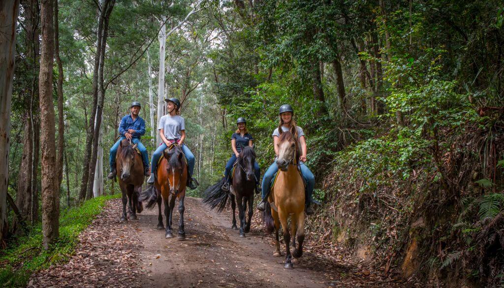 Glenworth valley 2024 horse riding