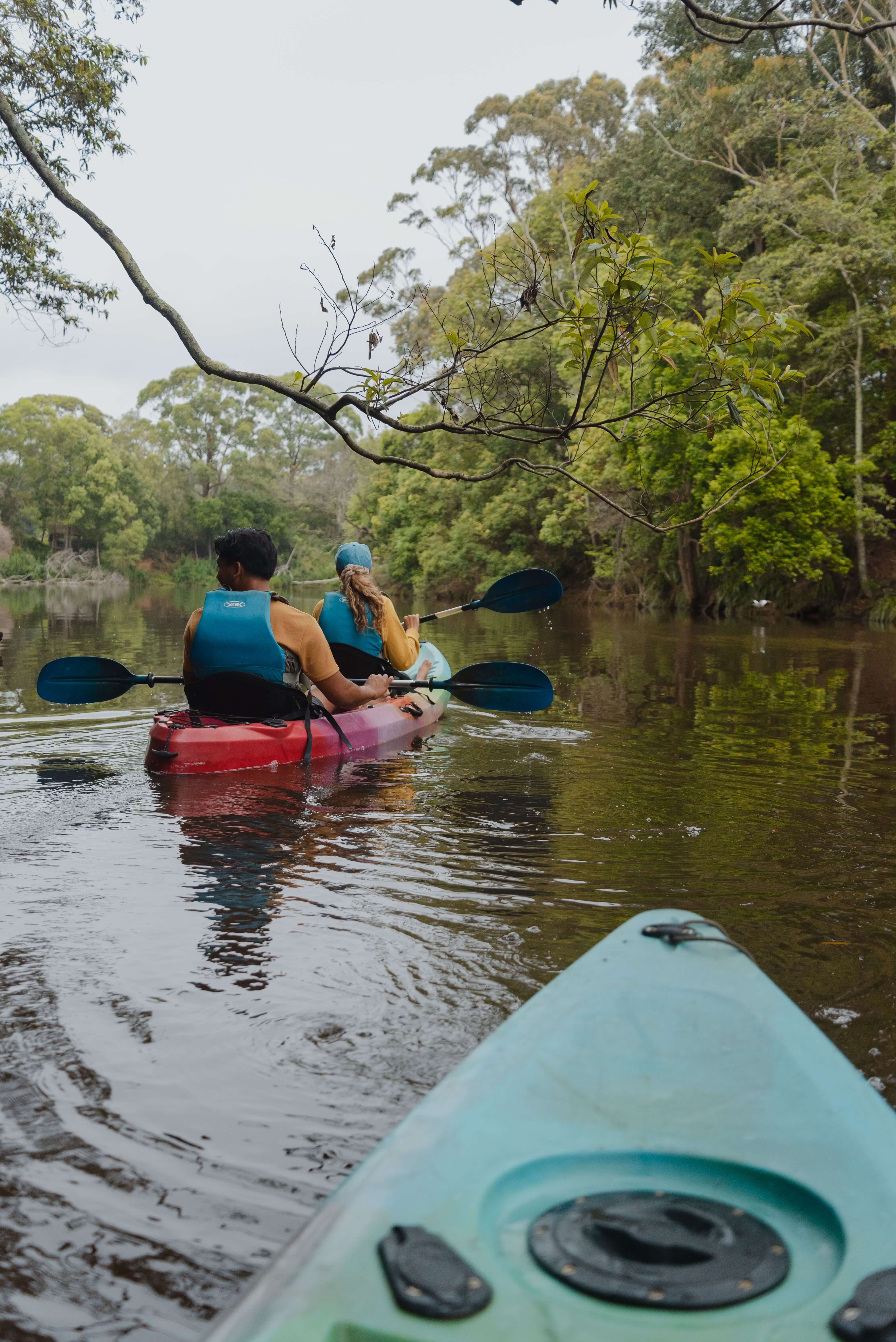 Glenworth Valley Outdoor Adventires - Eco Kayak Tours