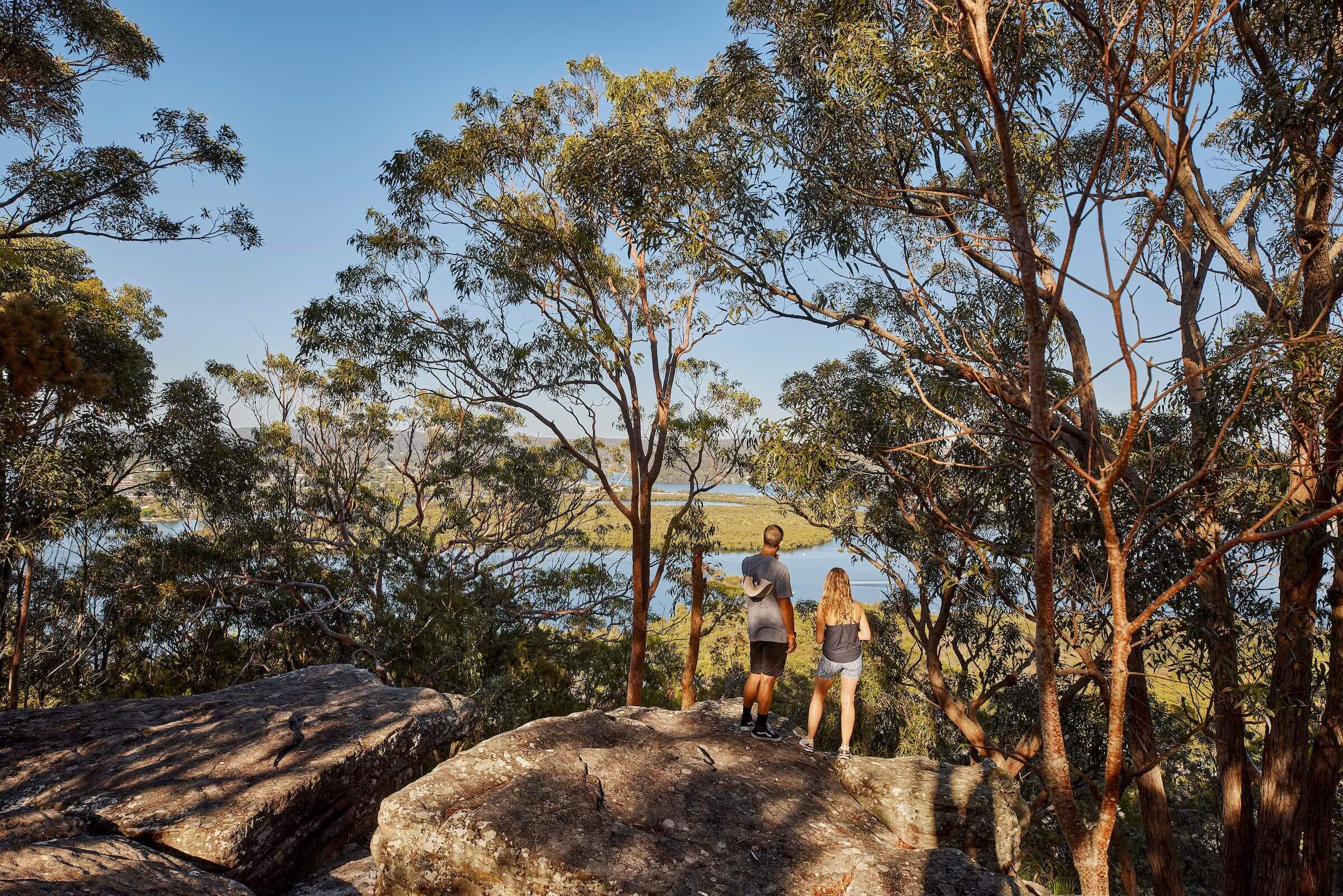 Mount Pleasant Lookout, Saratoga 