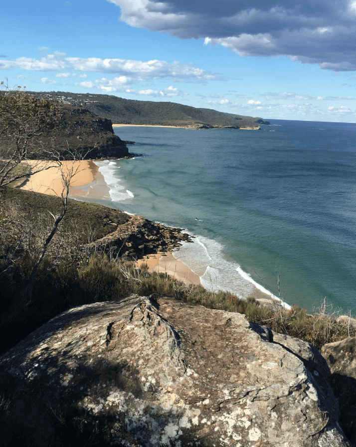 Bouddi Box Head 