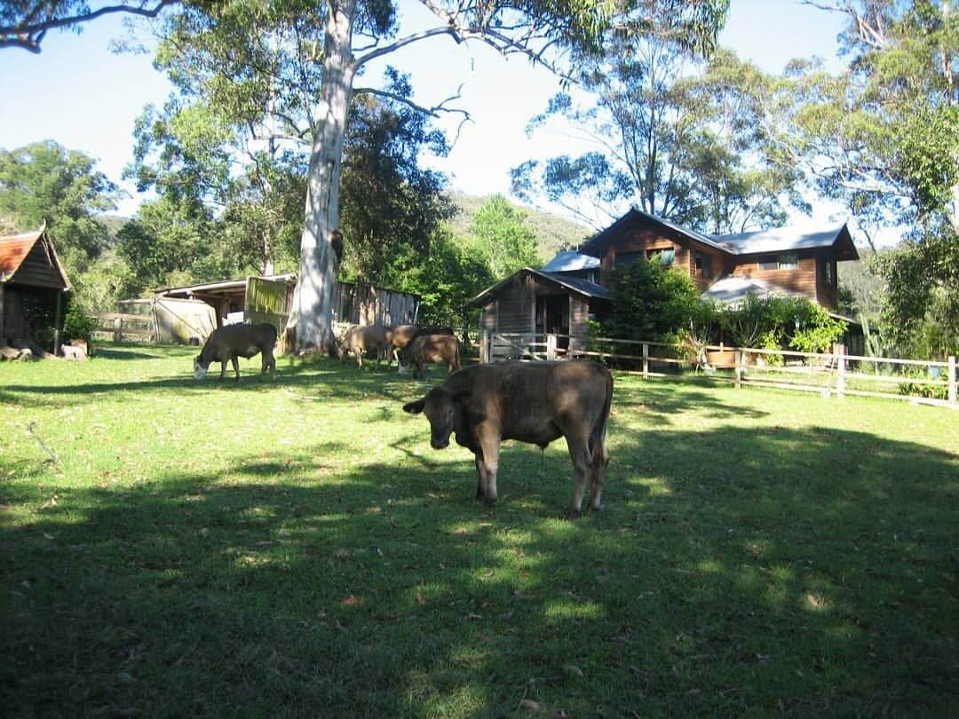 Yarramalong Farmstay