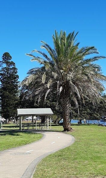 A view of the shared pathway running alongside Lions Park