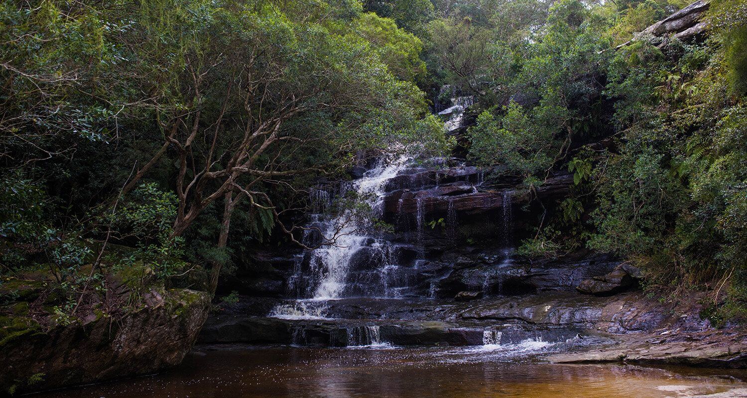 Somersby Falls | Things to do | Love Central Coast