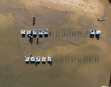 sydney oyster farm tours from above with in water shuckers