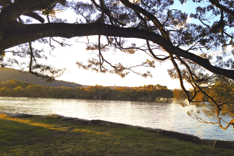 Reserve along the lake