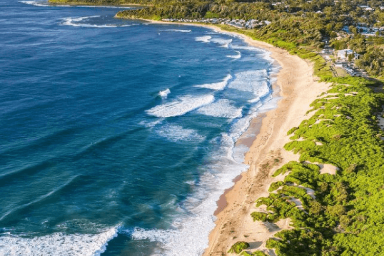 Aerial view of a beach