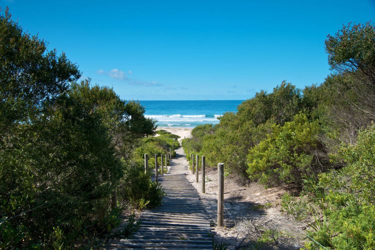 A wooden boardwalk that leads to a sandy beach. On each side of the boardwalk is lush bushland