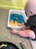 Young child playing in a sensory sea tub