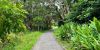 A concrete pathway with bright green wetland bushes and vegetation either side of the path